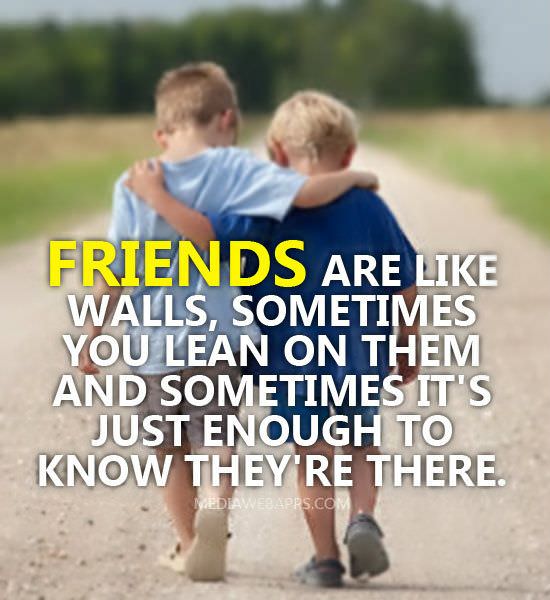 Friendship Quotes: Wise, Funny and Beautiful