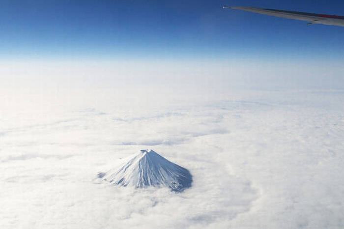 Window Seat