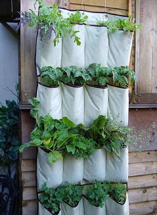 Vertical gardening
