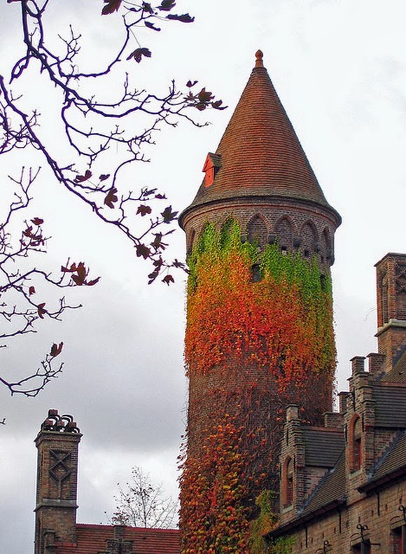 Unusual Towers  Ivy Тower, Bruges, Belgium