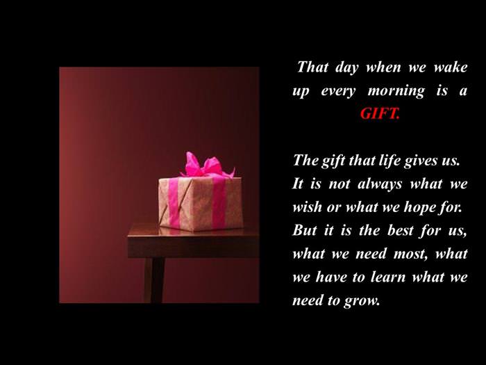 every day is a gift