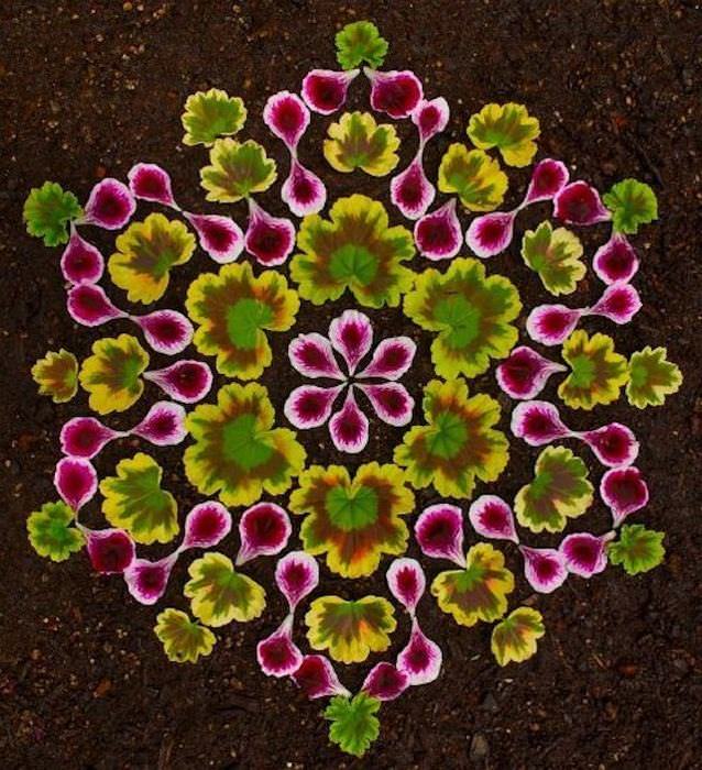 flower petal mandalas