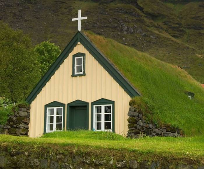 Grass Roofs