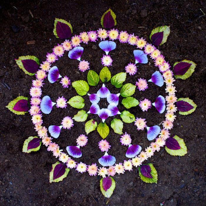 flower petal mandalas