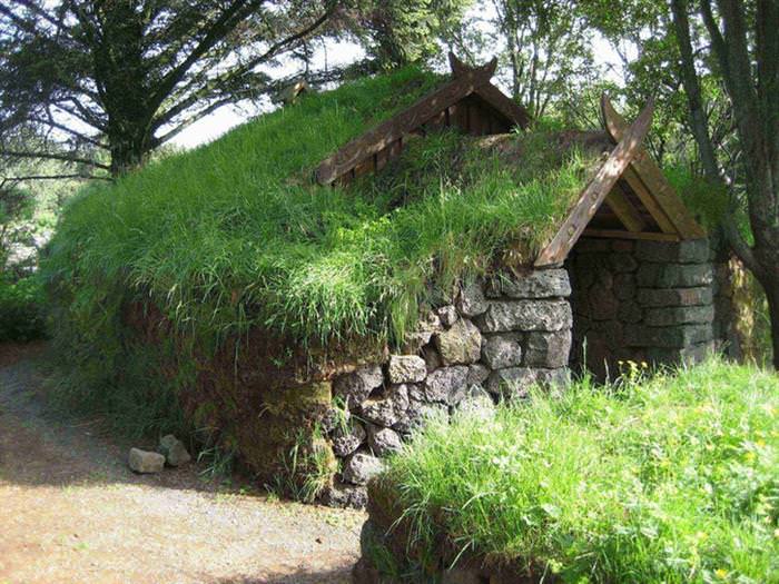 Grass Roofs