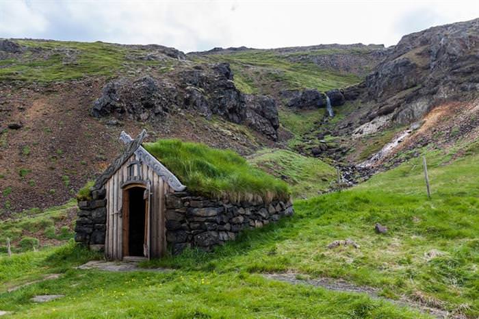 Grass Roofs