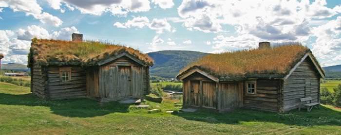 Grass Roofs