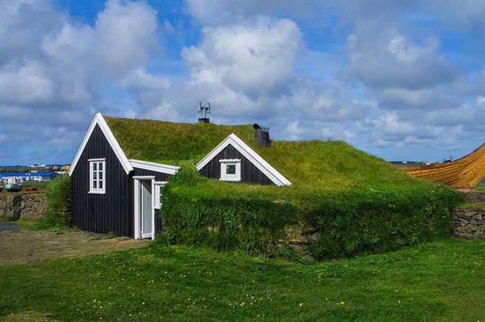 Grass Roofs