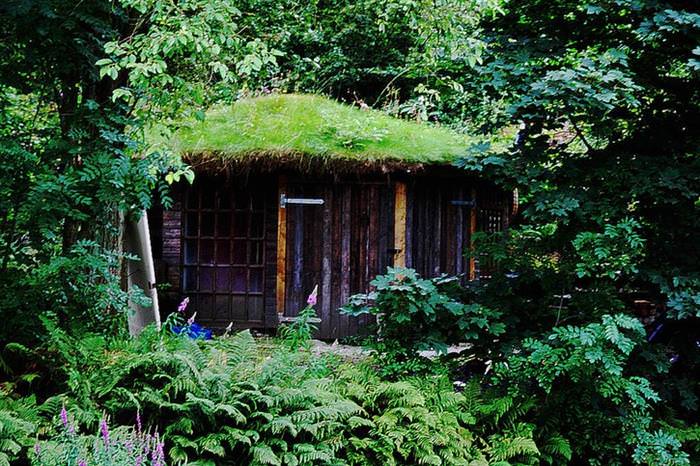 Grass Roofs