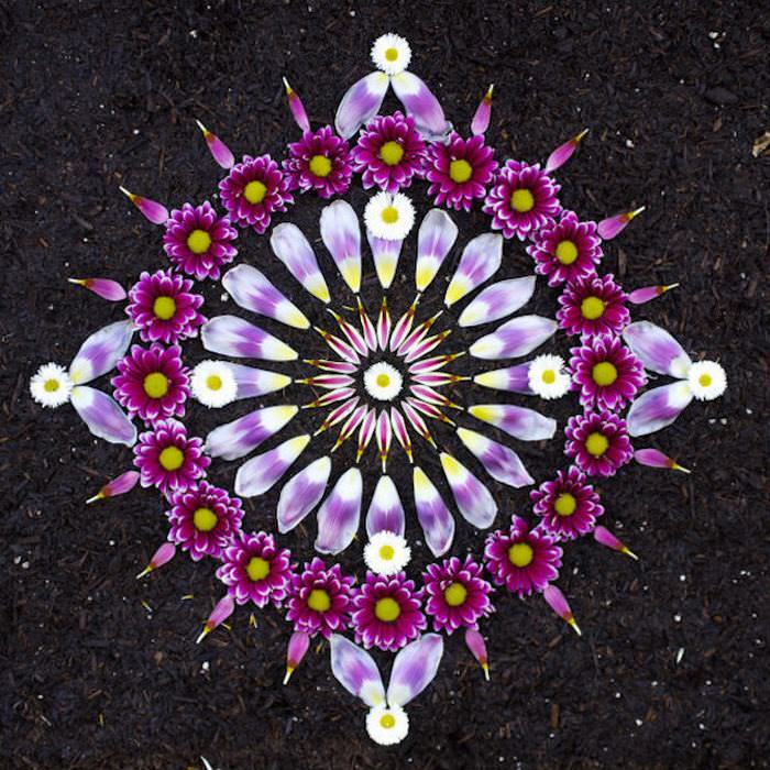 flower petal mandalas