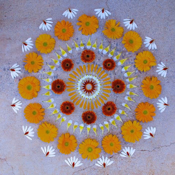 flower petal mandalas