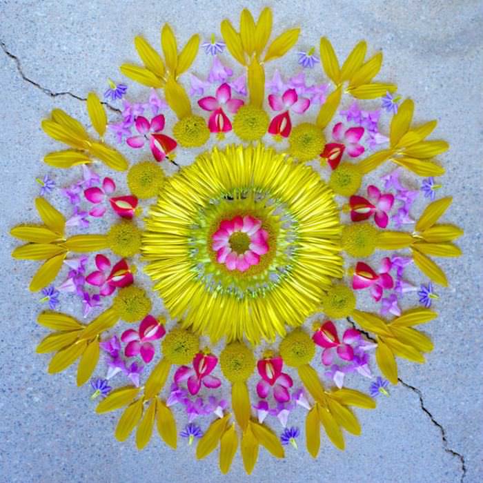 flower petal mandalas