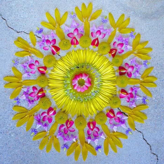 High quality Mandala - Mandalas with Flowers & vegetation