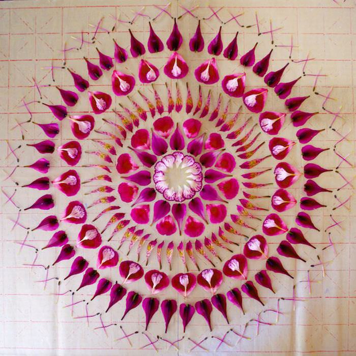 flower petal mandalas