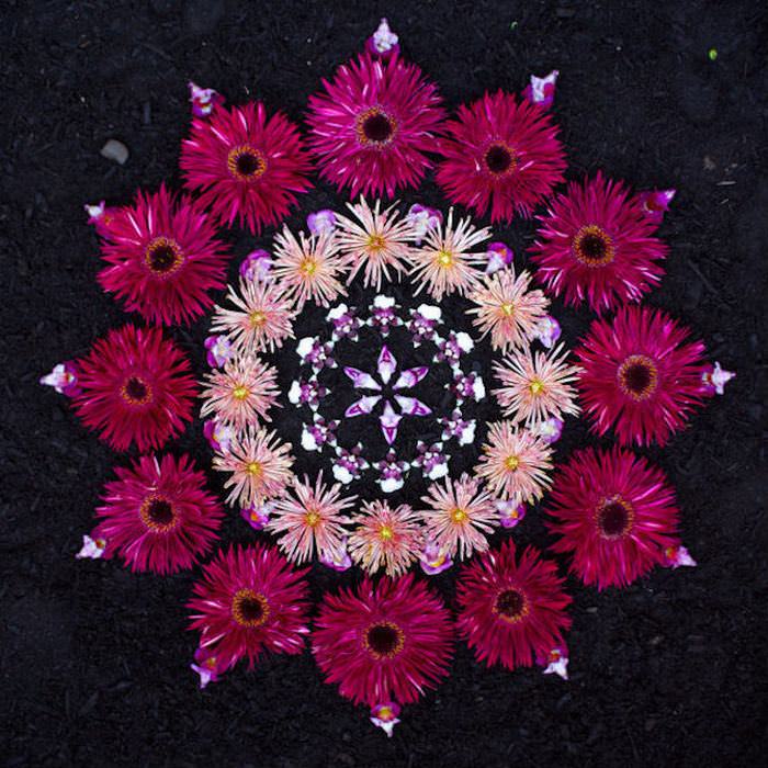 flower petal mandalas