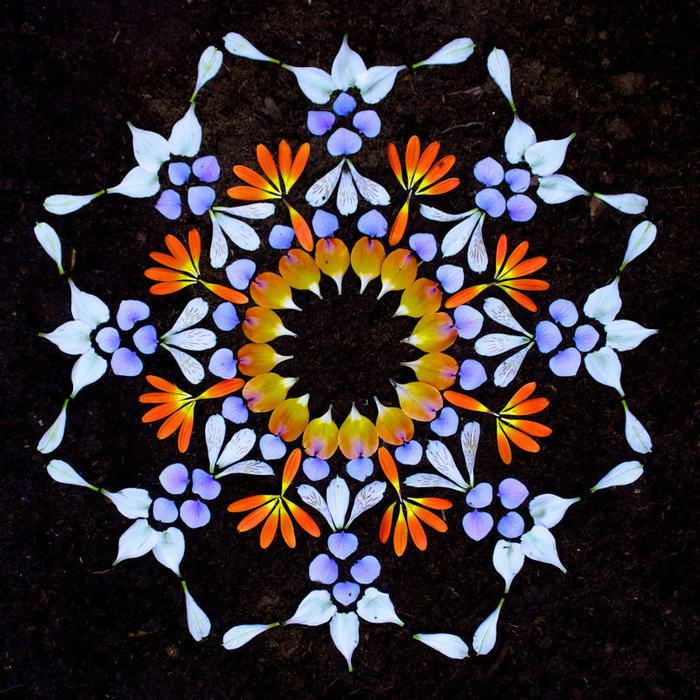 flower petal mandalas