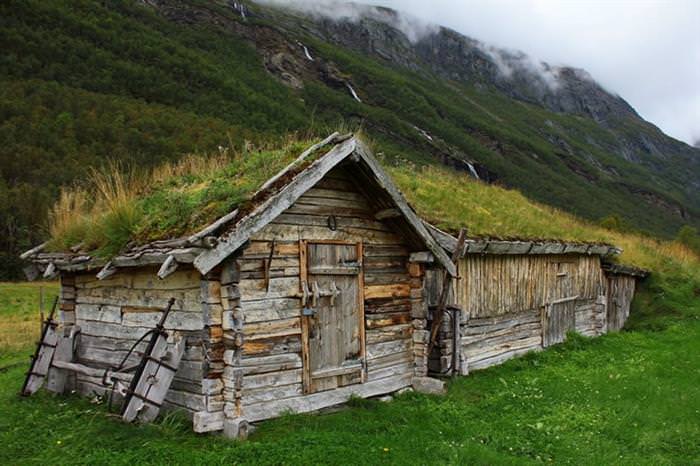 Grass Roofs