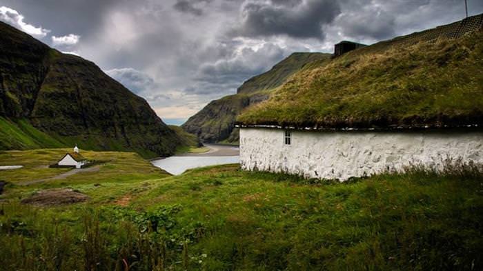 Grass Roofs