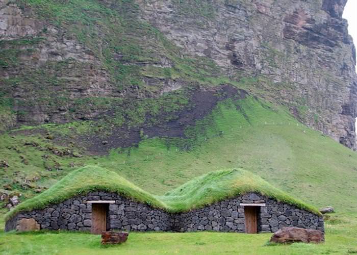Grass Roofs