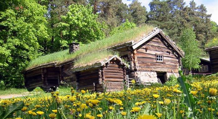 Grass Roofs