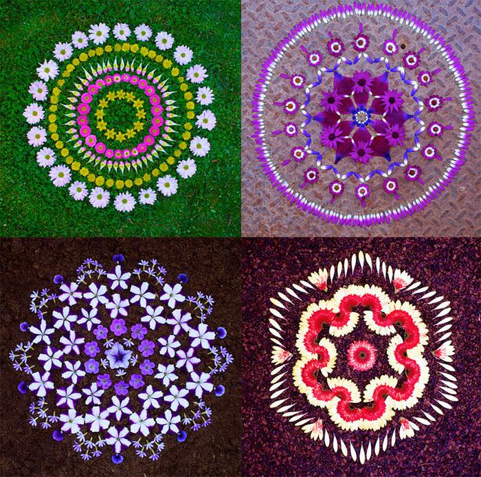 flower petal mandalas