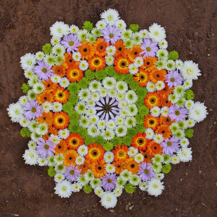 flower petal mandalas