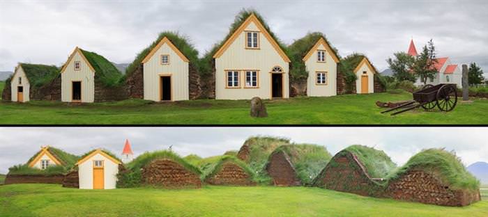 Grass Roofs