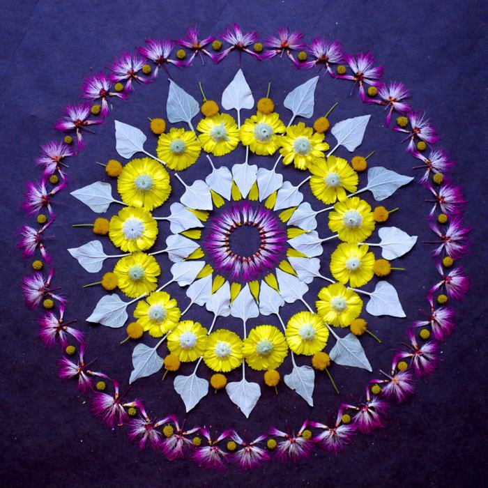 flower petal mandalas