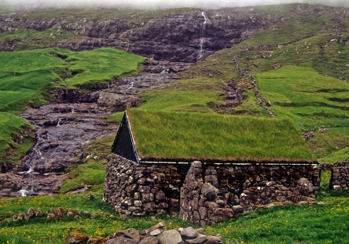 grass on house roofs