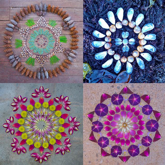 flower petal mandalas