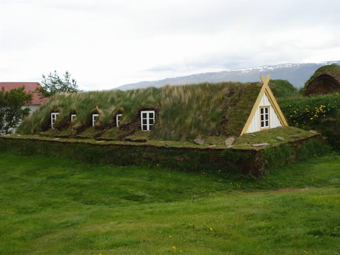Grass Roofs