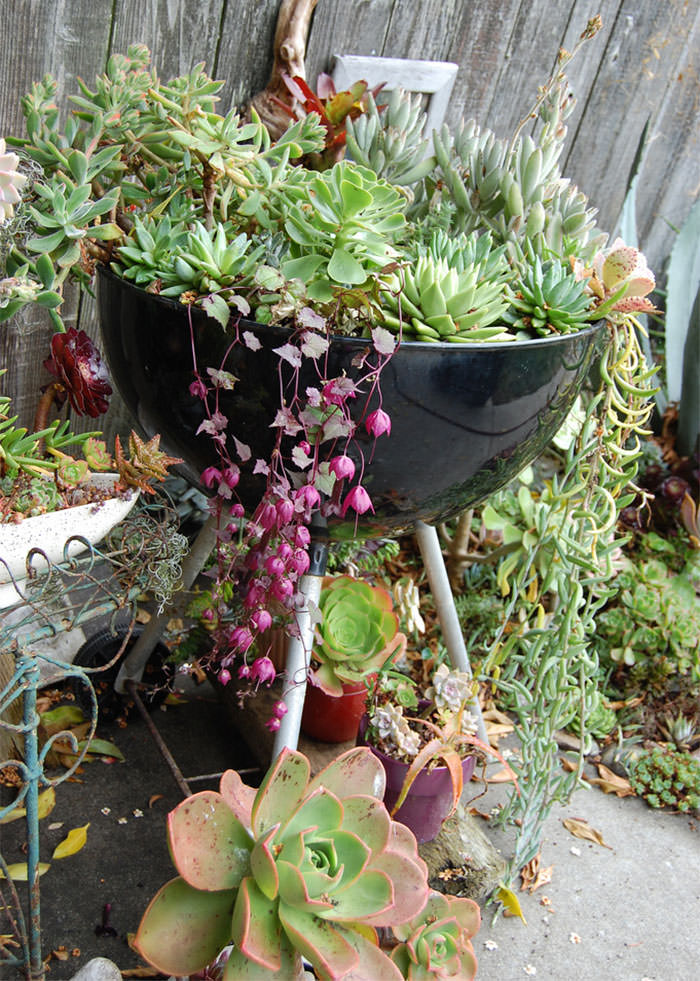 Recycled Furniture grill filled with plants in a garden