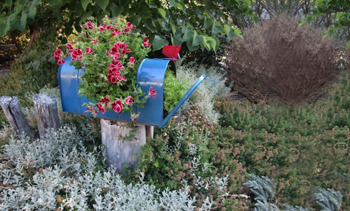 Recycled Furniture mail box  filled with flowers in a garden