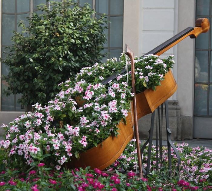 Recycled Furniture cello used to grow plants in garden