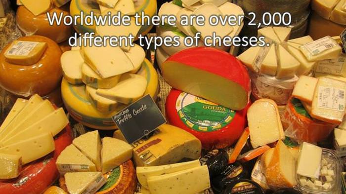 Cheese facts