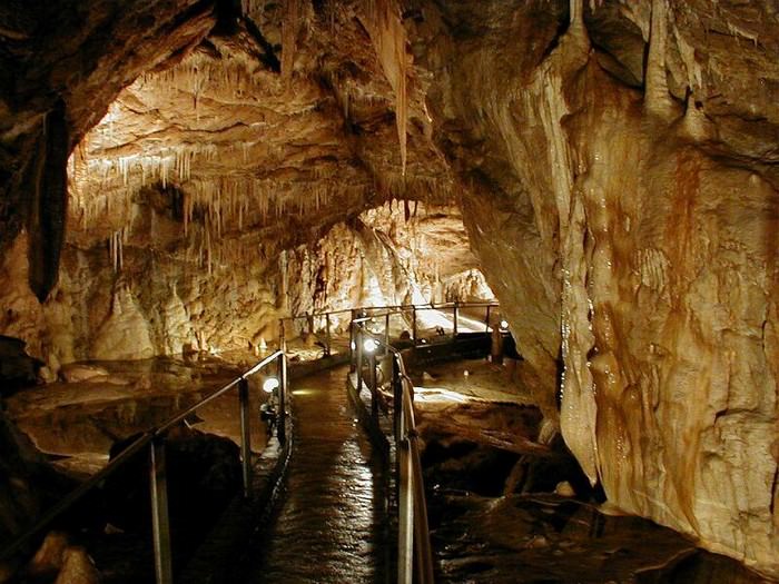 Poland Jaskinia Niedzwiedzia cave