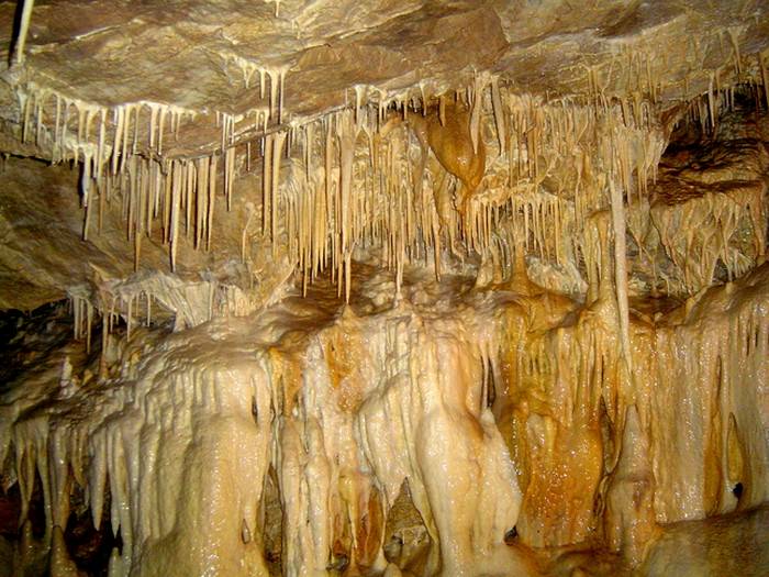 Poland Jaskinia Niedzwiedzia cave