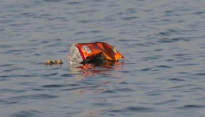 Ocean Cleanup