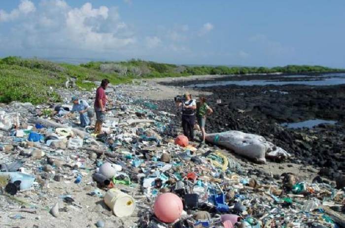 Ocean Cleanup