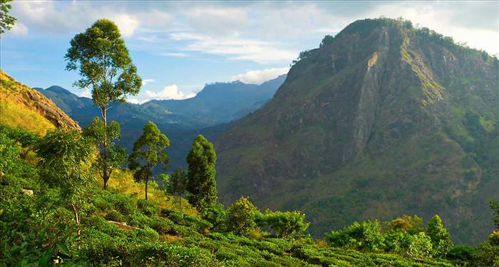 24 Reasons to Visit Spectacular Sri Lanka