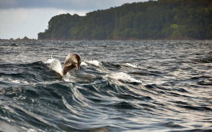 costa rica