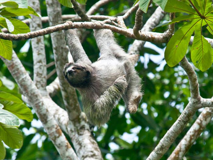 costa rica