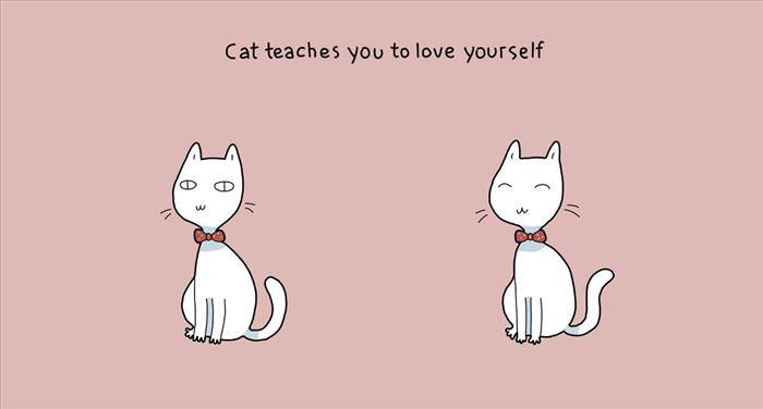Cat Thoughts