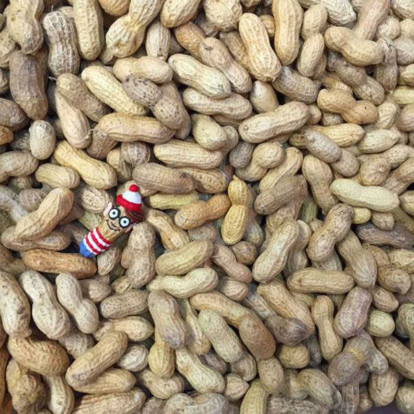 peanut art