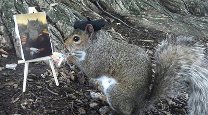 This Cute Squirrel Stole the Hearts of Many