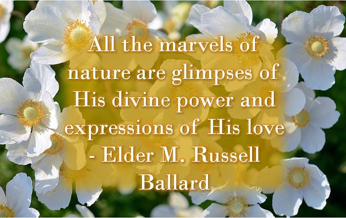 Nature and god quote: Elder M. Russel Ballard