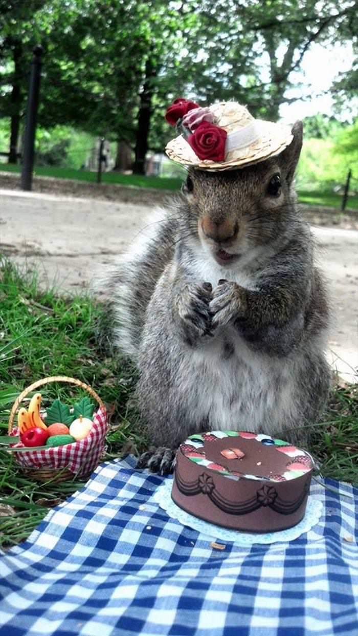 Cute Squirrels in Costumes Pose for Photos