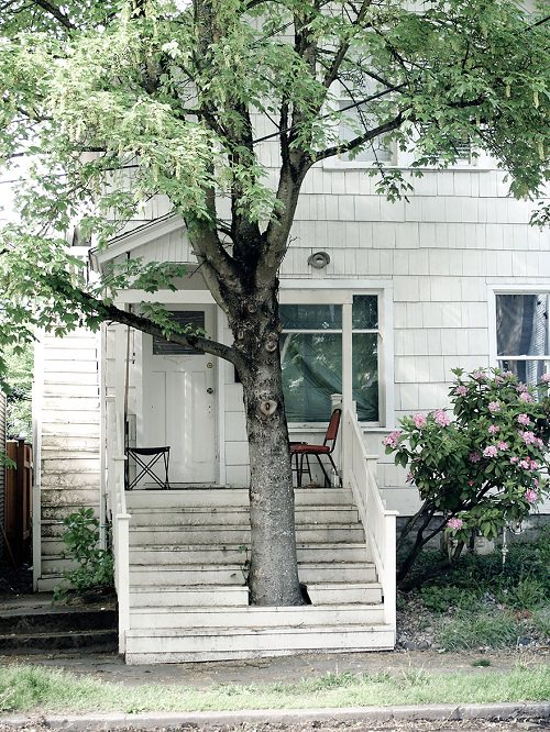 buildings with trees