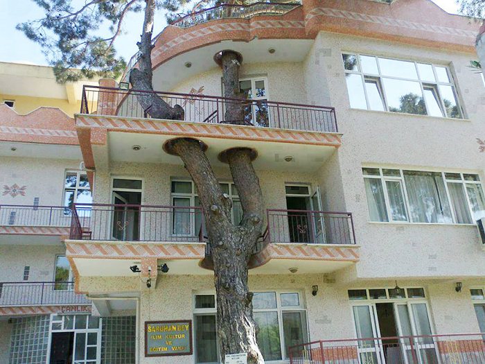 buildings with trees