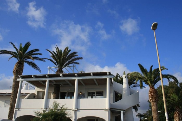 buildings with trees